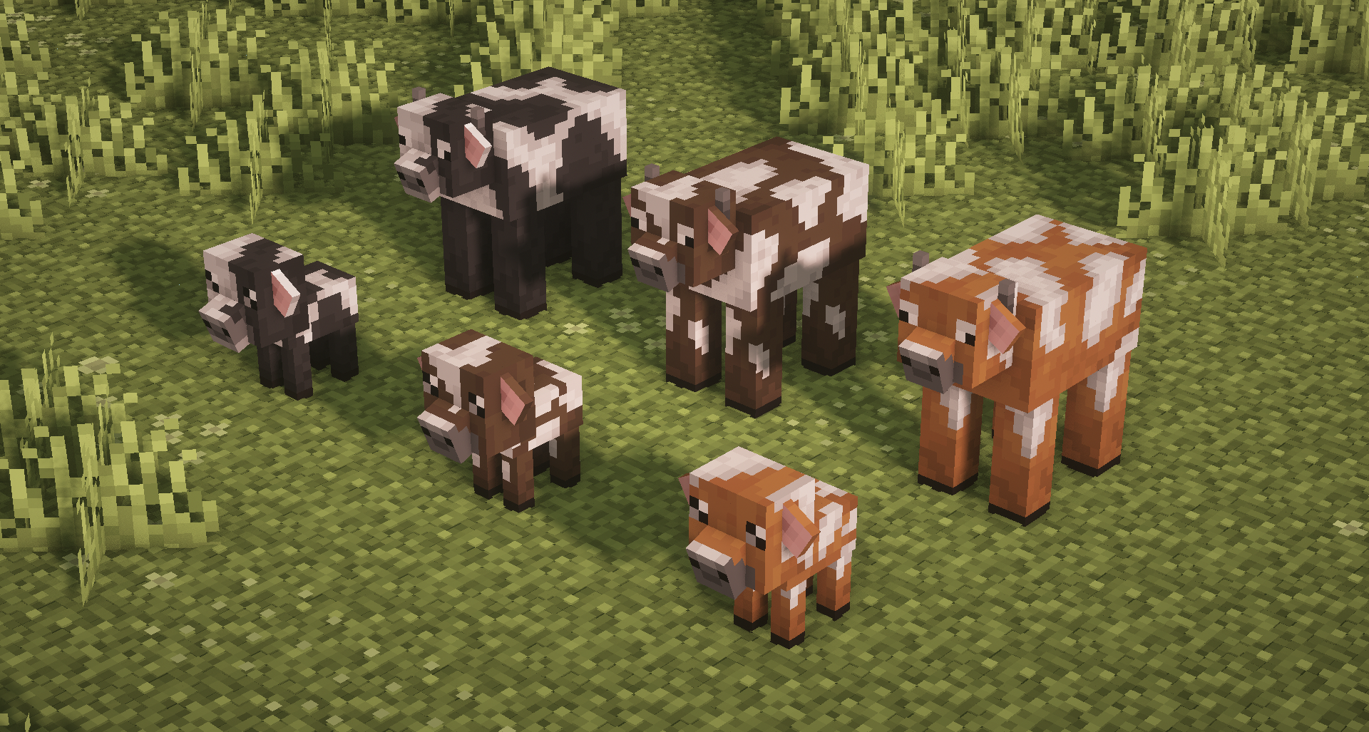 La vue d'ensemble des vaches