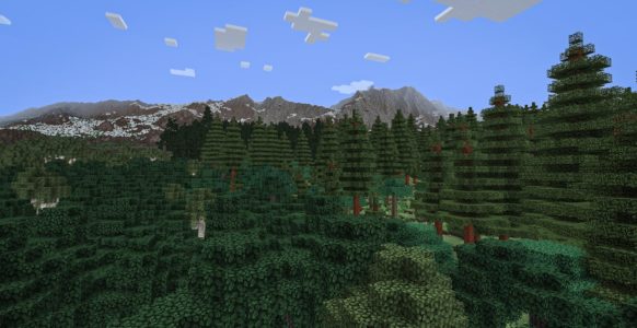 Une forêt avec de grandes montagnes dans le fond