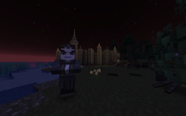 Un sorcier dans Minecraft