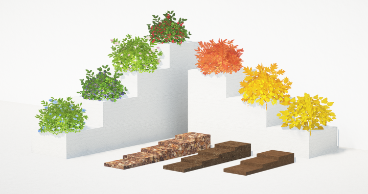 Cubed Textures - plantes en pot et terre