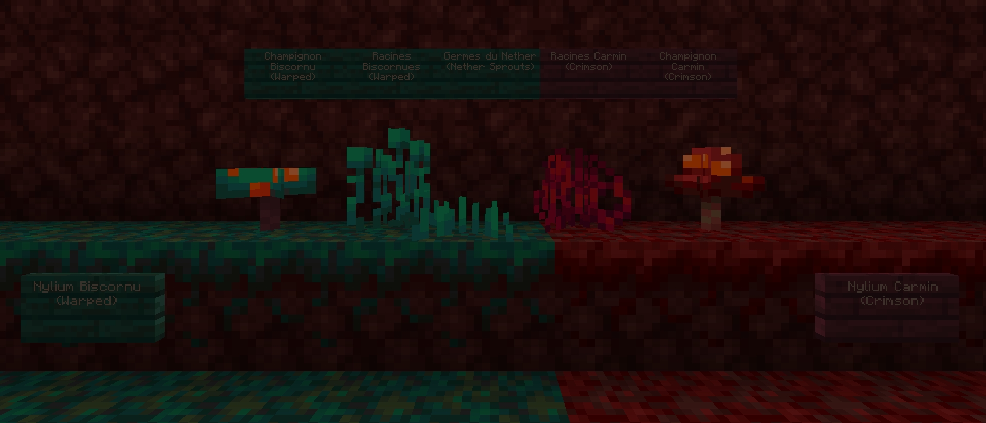 Nether Grass, Nylium & Fungus 1.16