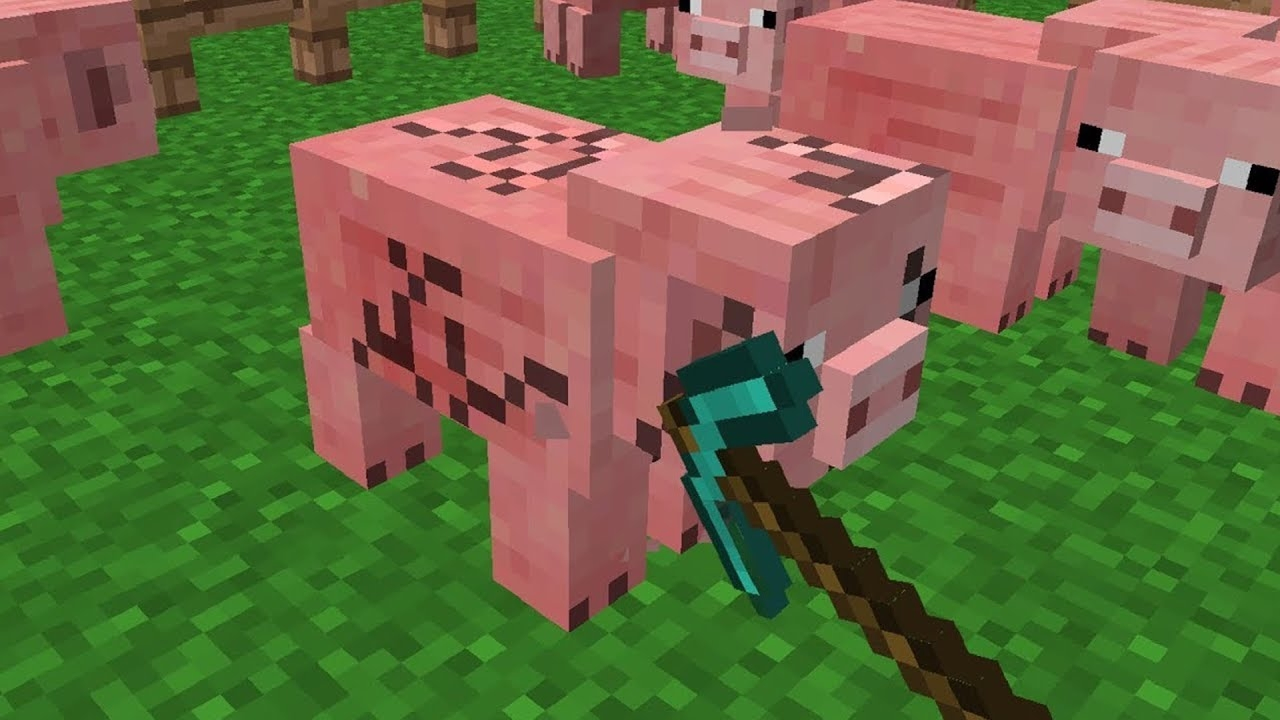 minage de cochon