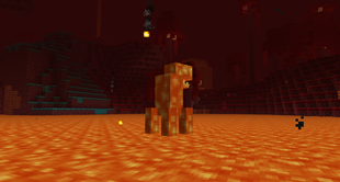 Image d'un monstre de lave dans le Nether