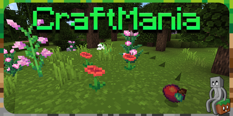 Resource Pack : CraftMania [1.14 - 1.16]