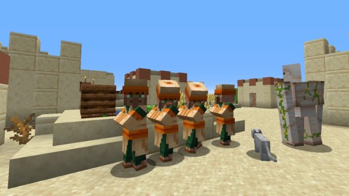Villageois du désert