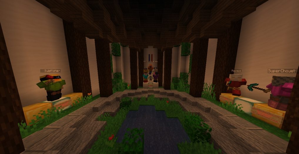 Map : Capture The Flag – Ultimate 🚩 [1.15.2] - Minecraft-France