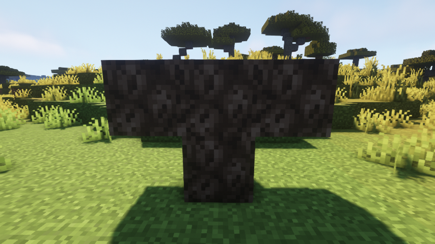 Bras du Wither