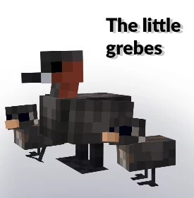 Petit grèbe du mod Creatures & Beasts
