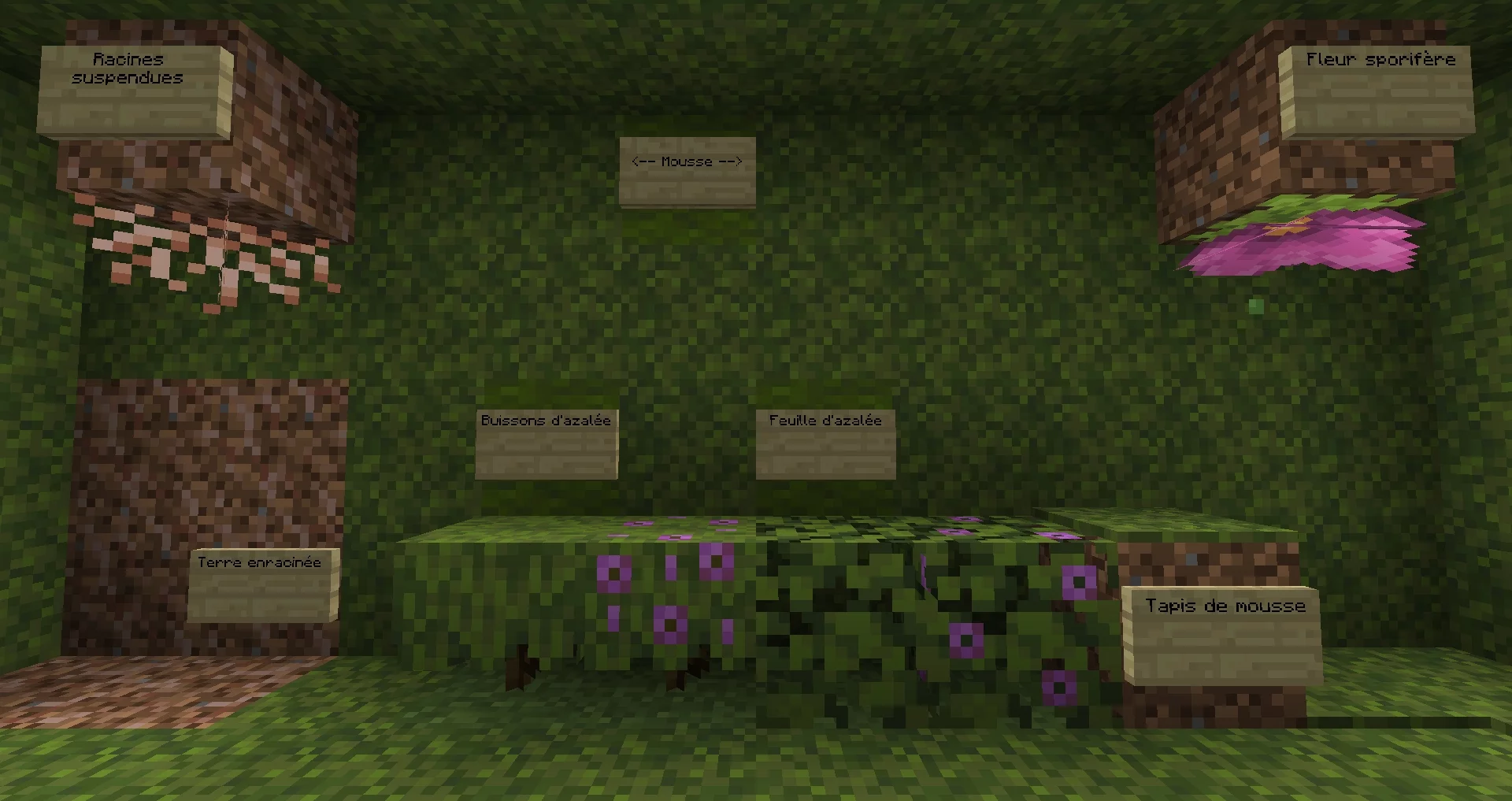 Blocks 21w05a