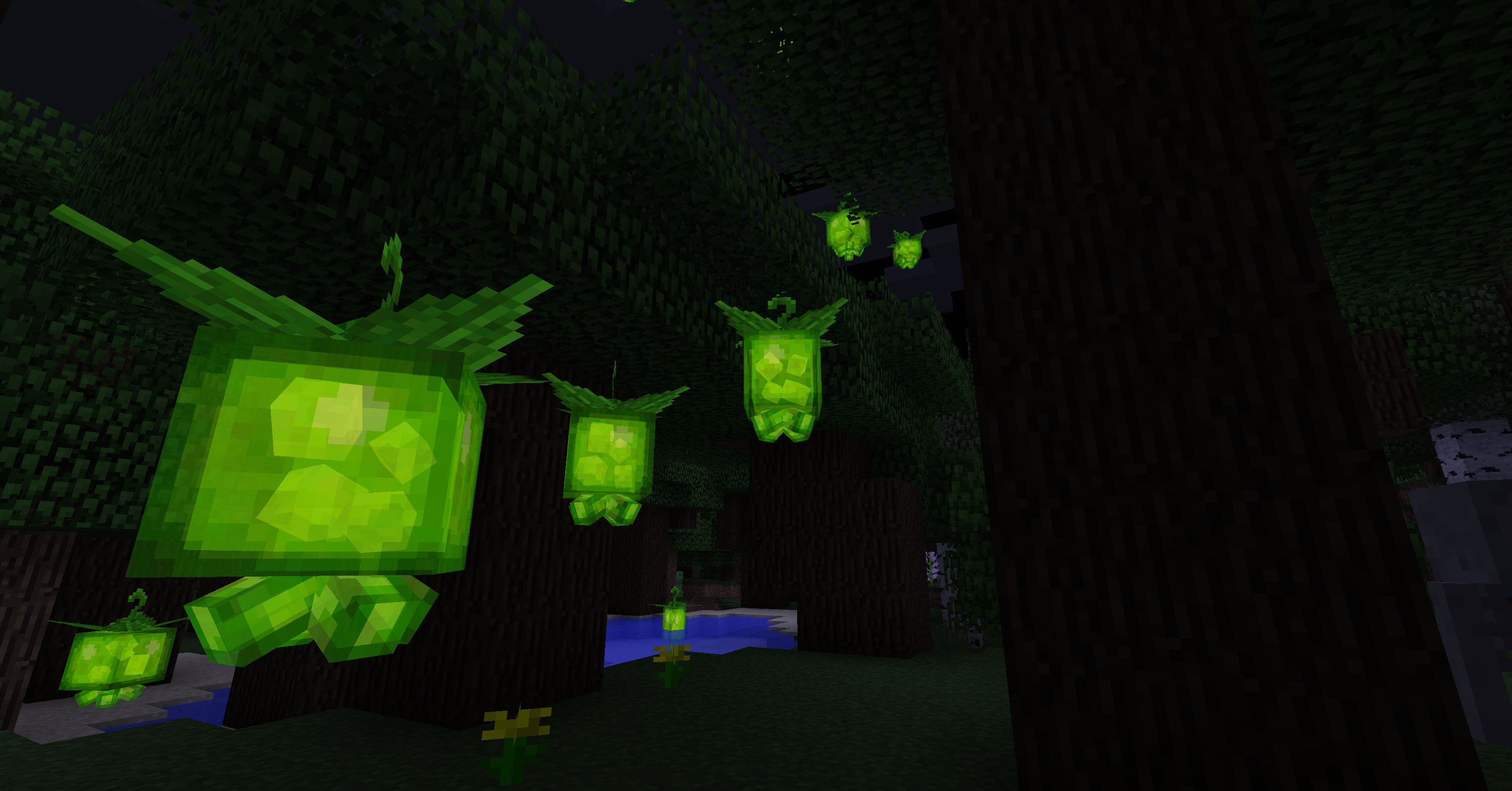 Des lanternes dans une forêt sombre