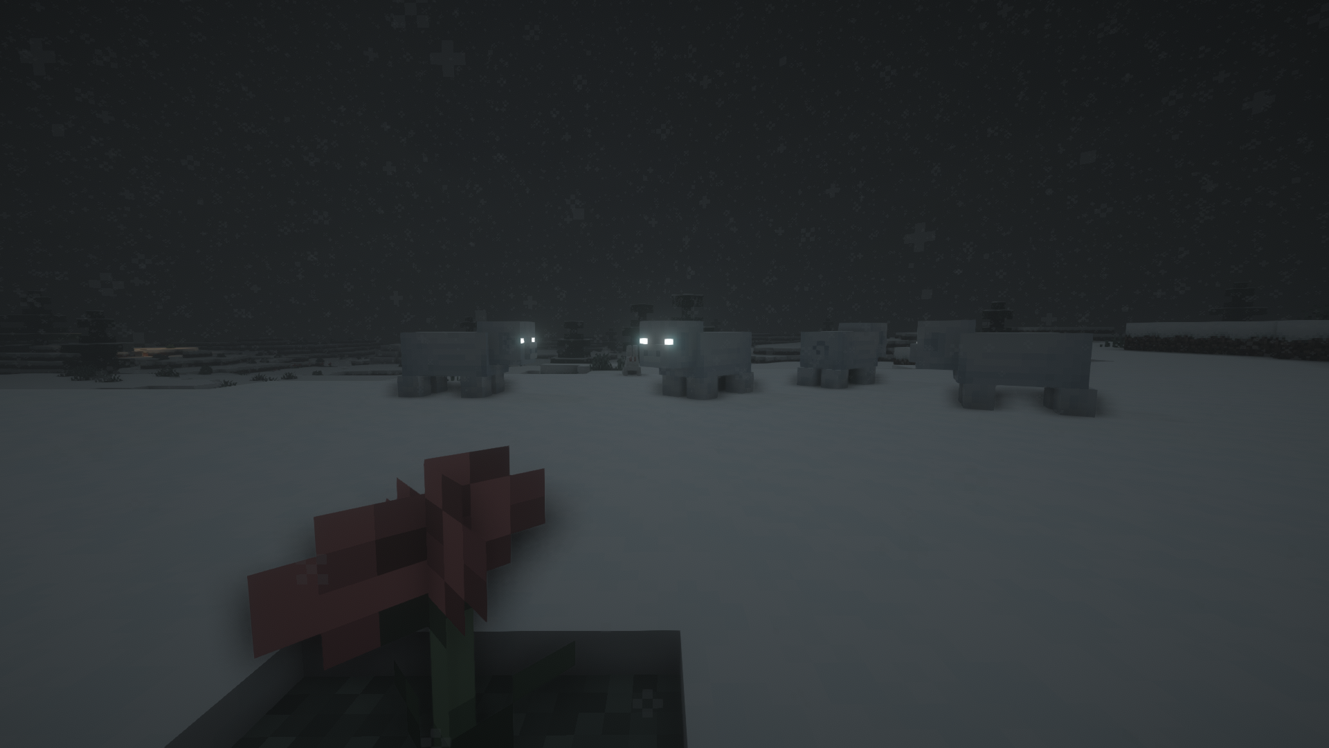 Un troupeau de cochon des neiges