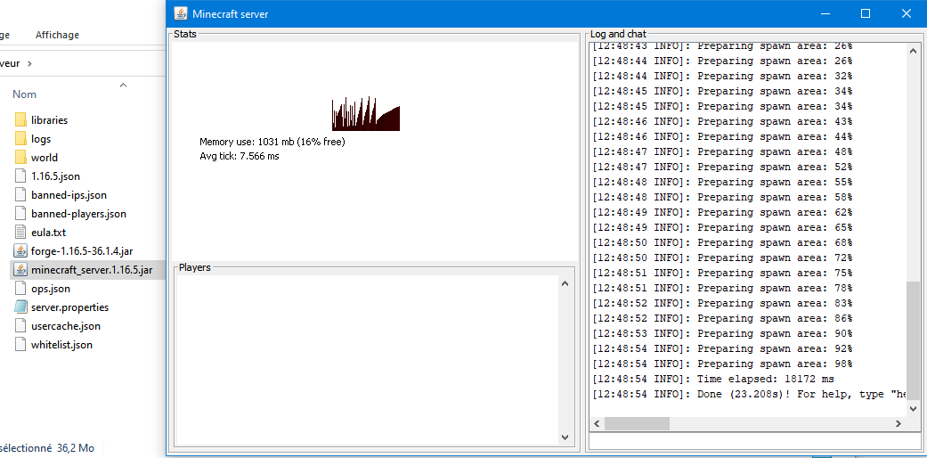 lancement serveur Minecraft