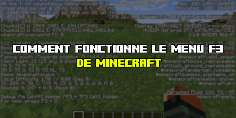 Comment fonctionne le menu f3 de Minecraft