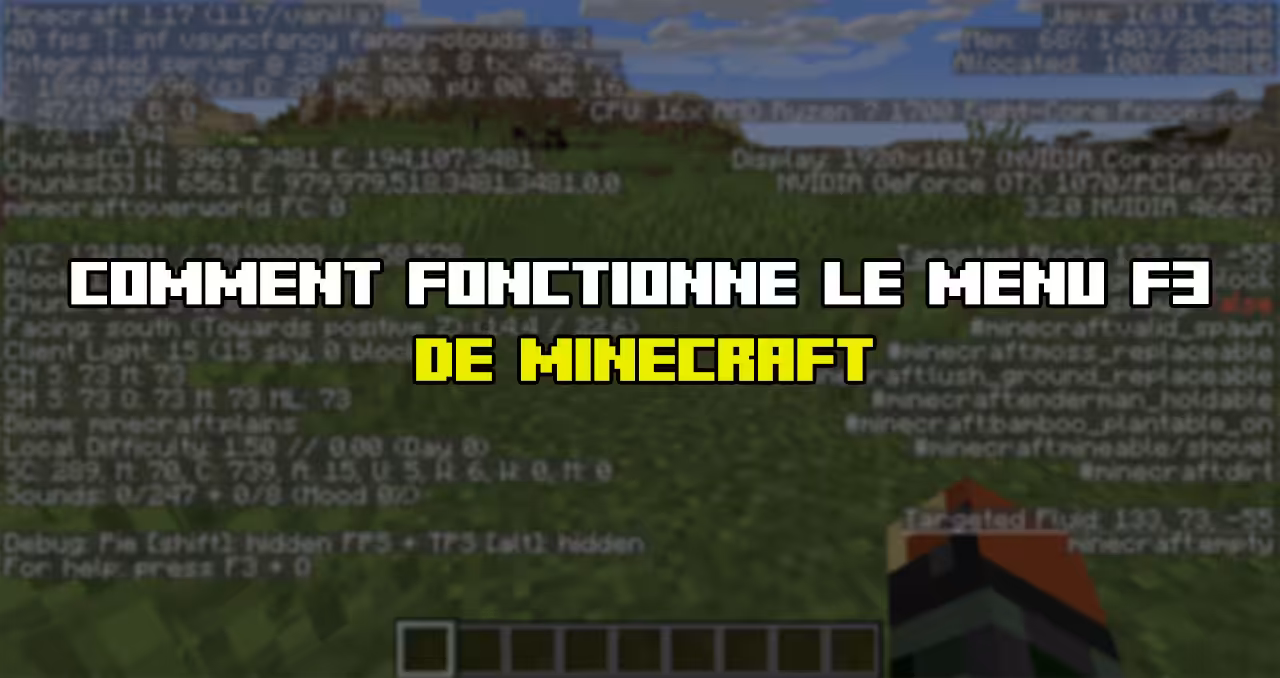 Comment fonctionne le menu f3 de Minecraft