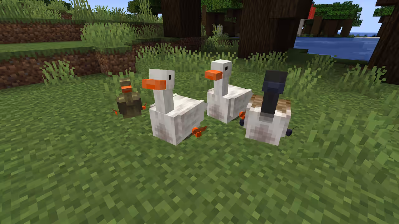 Une famille d'oies