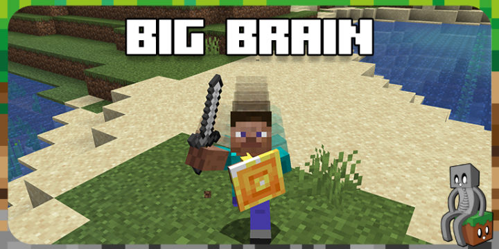 Mod : Big Brain 🧠 [1.16.5 à 1.21.1] - Minecraft-France