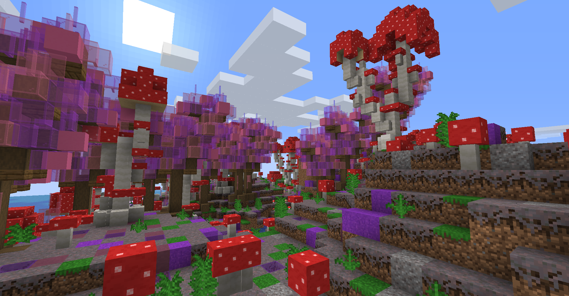 Biome champignons