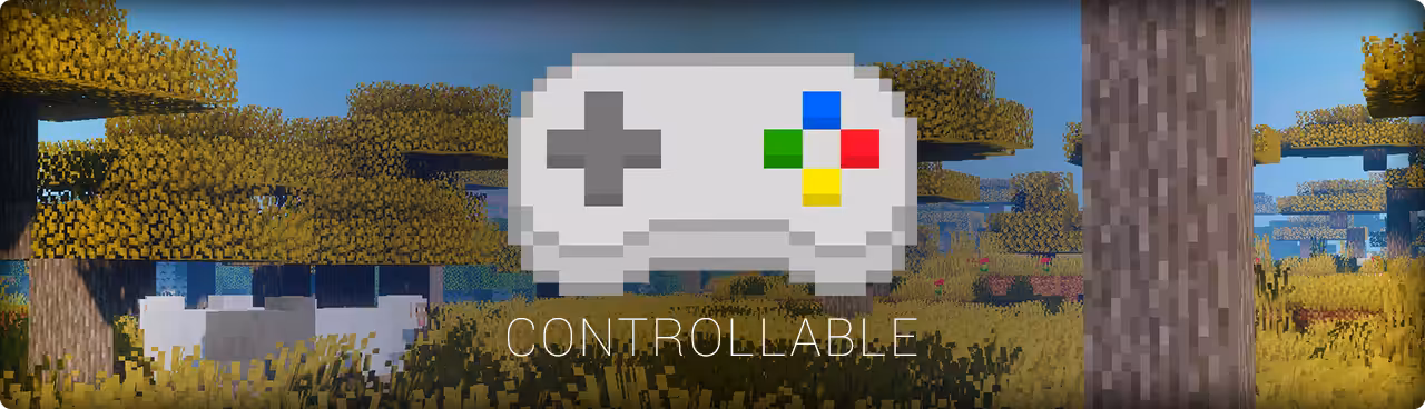 Bannière Controllable