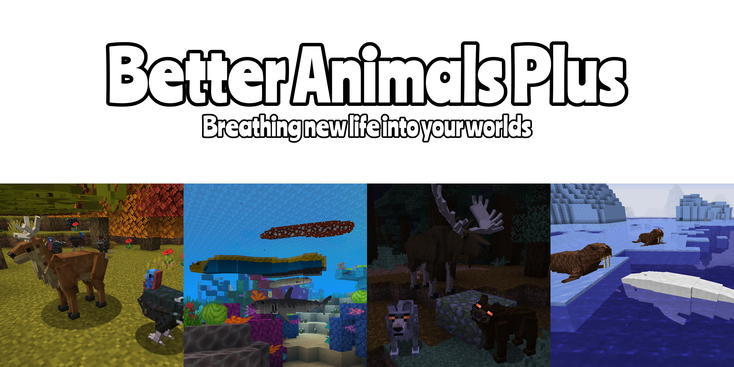 banniere better animals plus