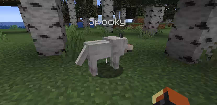 Loup avec un nom