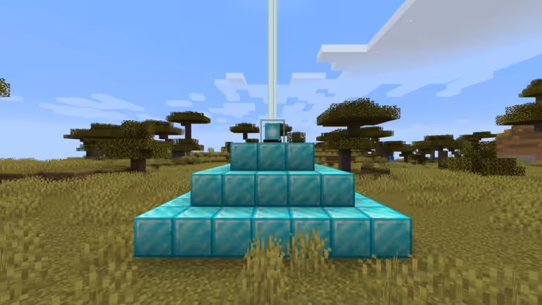 balise minecraft en jeu