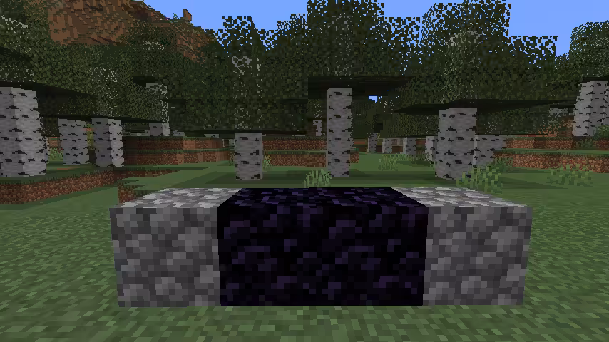 bas portail nether