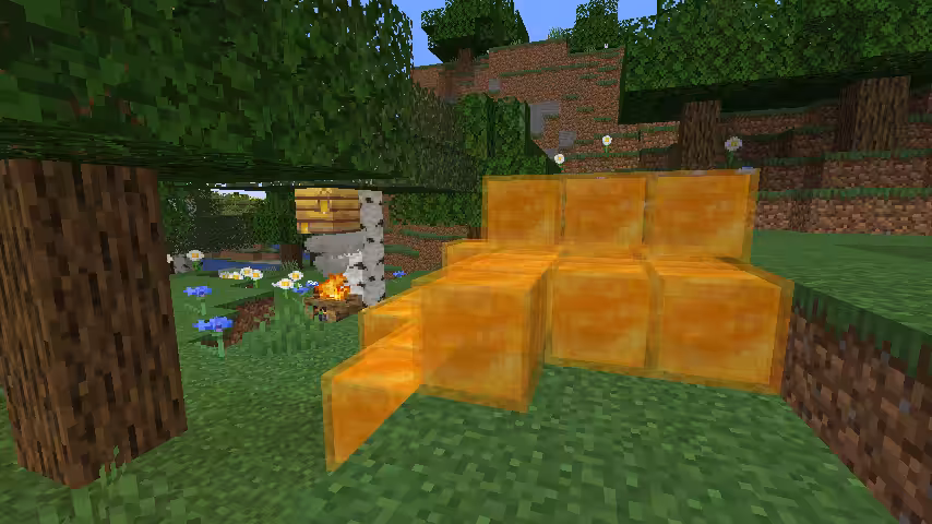 blocs miel
