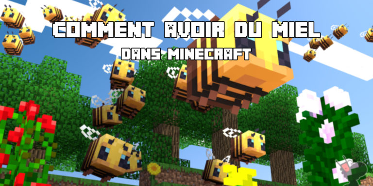 Guide sur le miel de minecraft