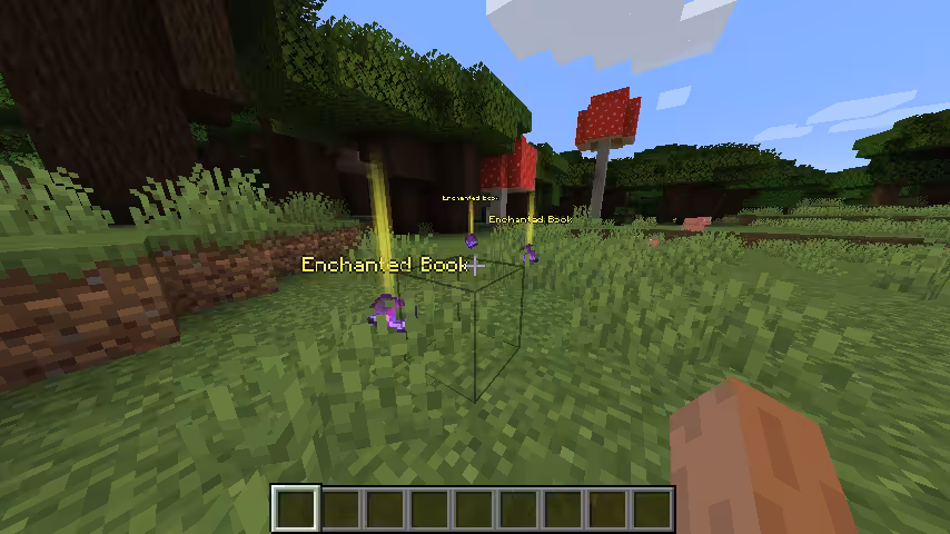 hauteur du faisceau loot beams
