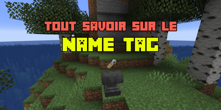 Guide Name tag Minecraft
