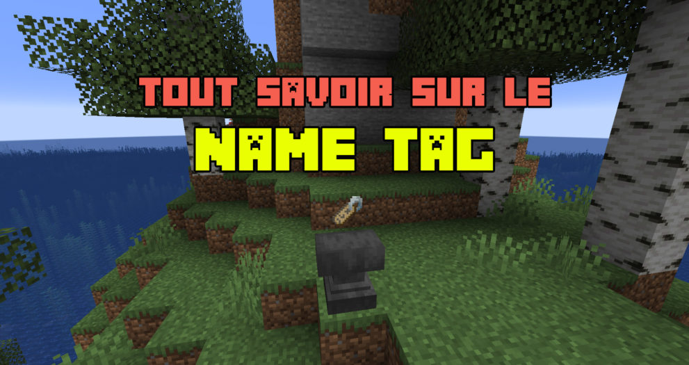 Comment fonctionne l'étiquette (Name Tag) dans Minecraft - Minecraft-France
