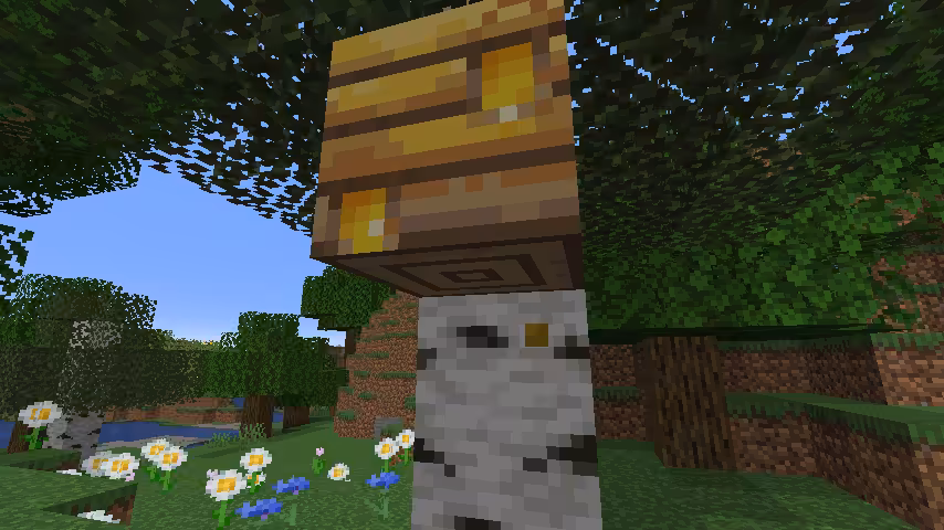 ruche pleine minecraft