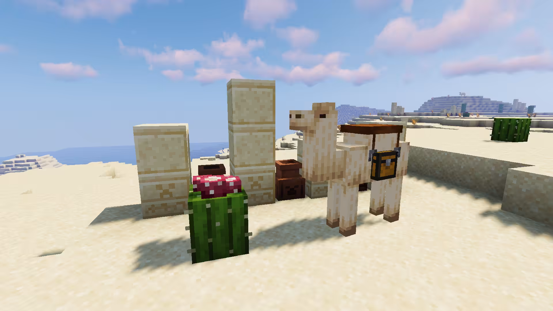 biome desert