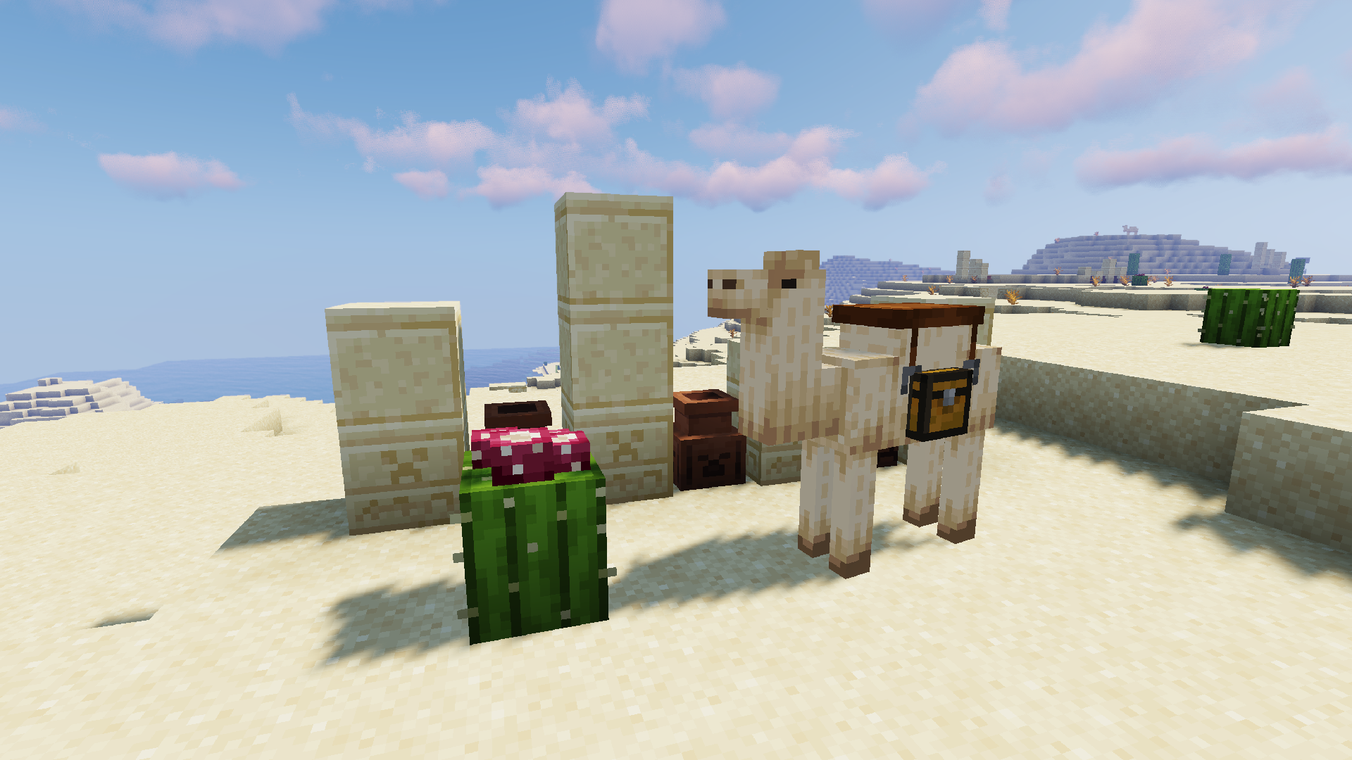 biome desert