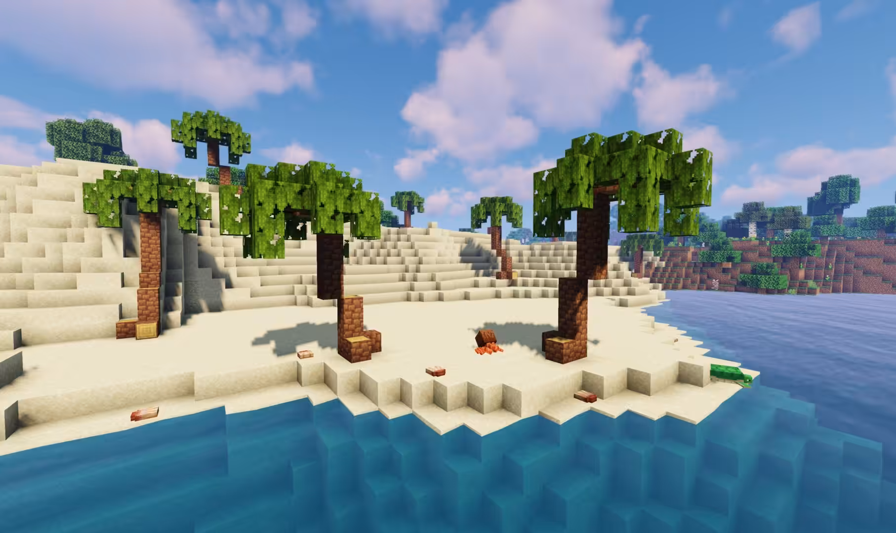 biome plage