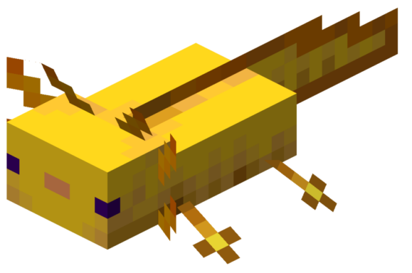 Gold Axolotl