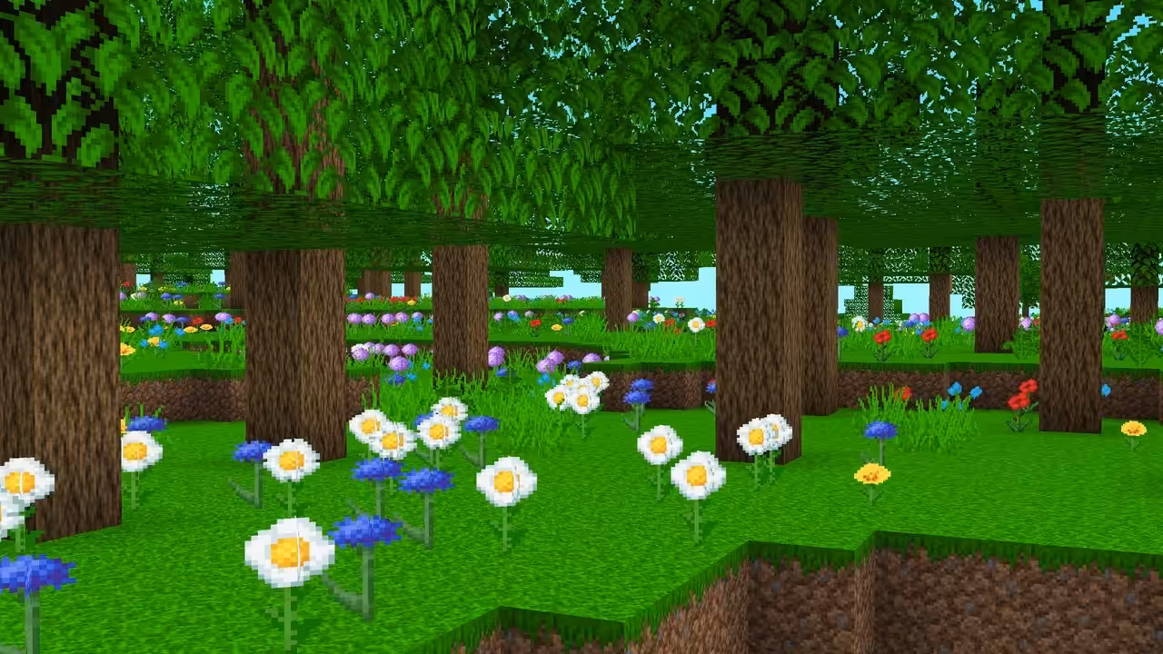 foret paradis