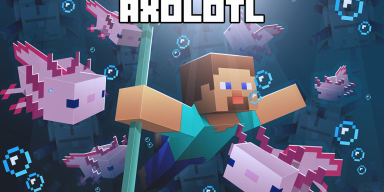 Guide Minecraft : Axolotl