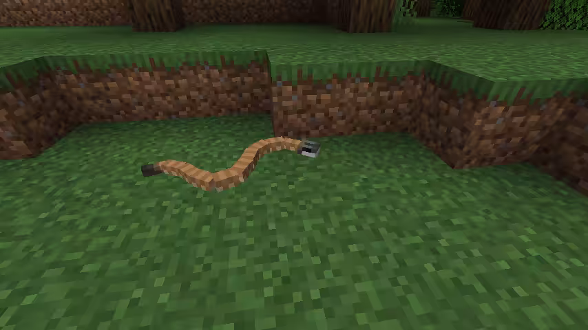 petits serpents