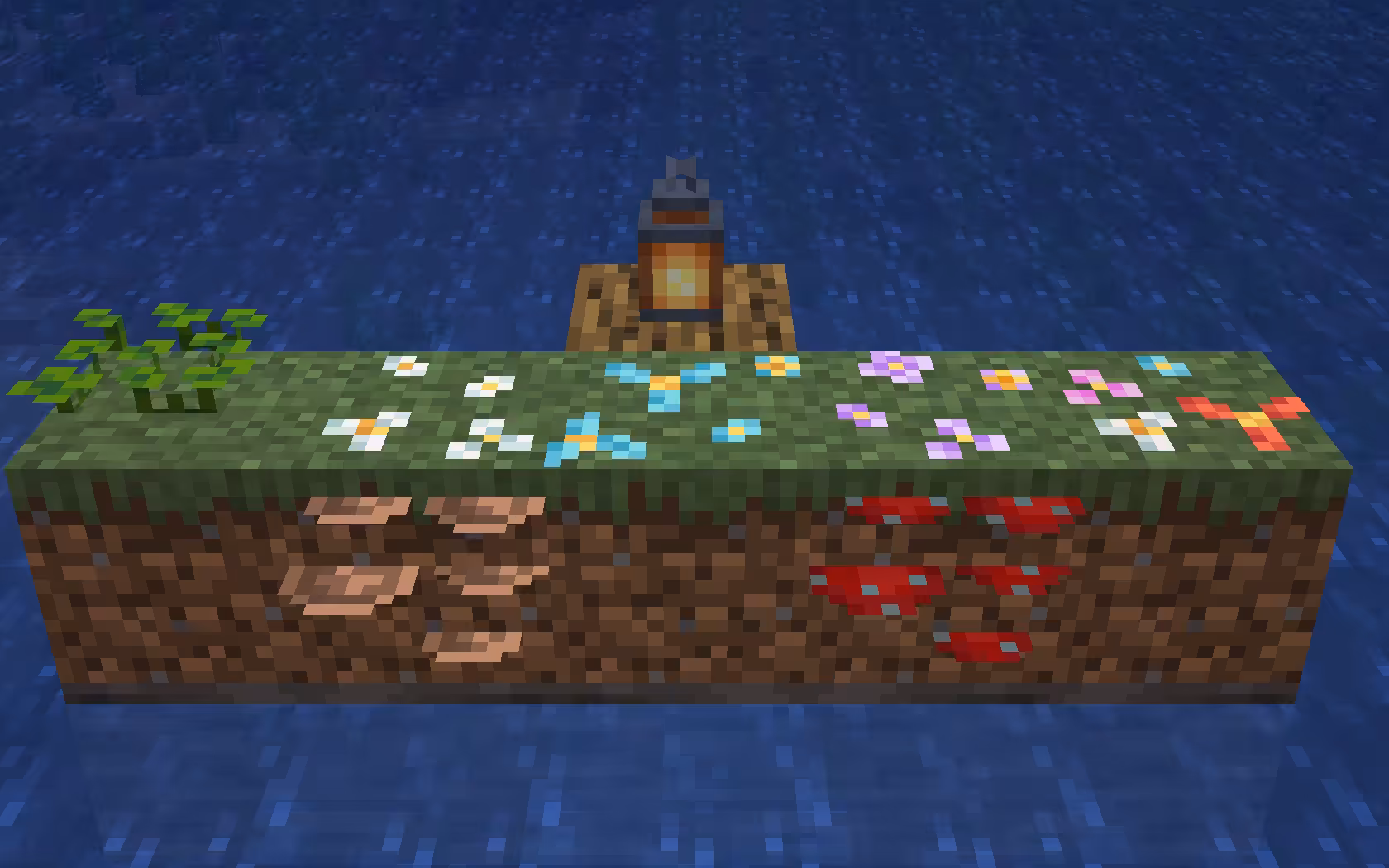 plants