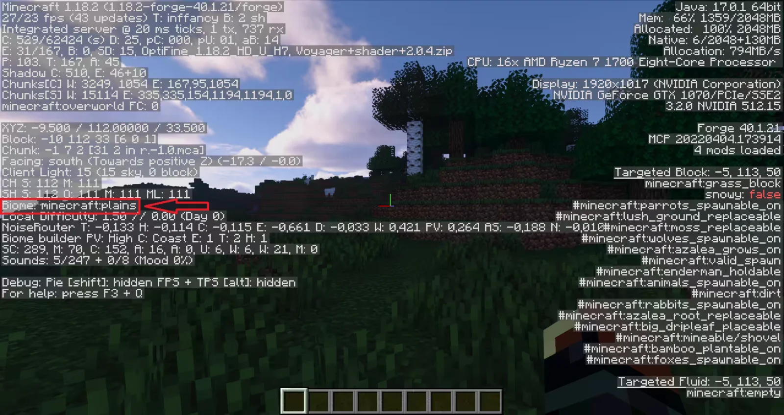 Écran de débogage F3 de Minecraft Java indiquant le biome actuel.