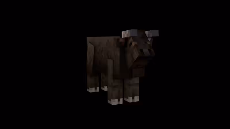 Herds 707 4