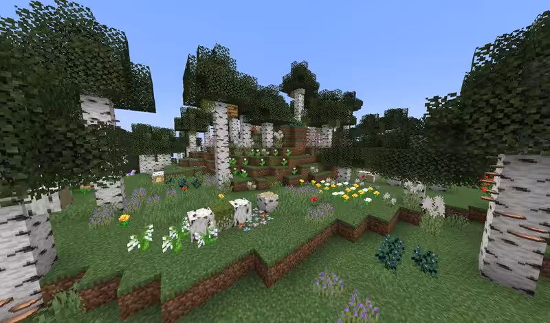 Wild Update 1