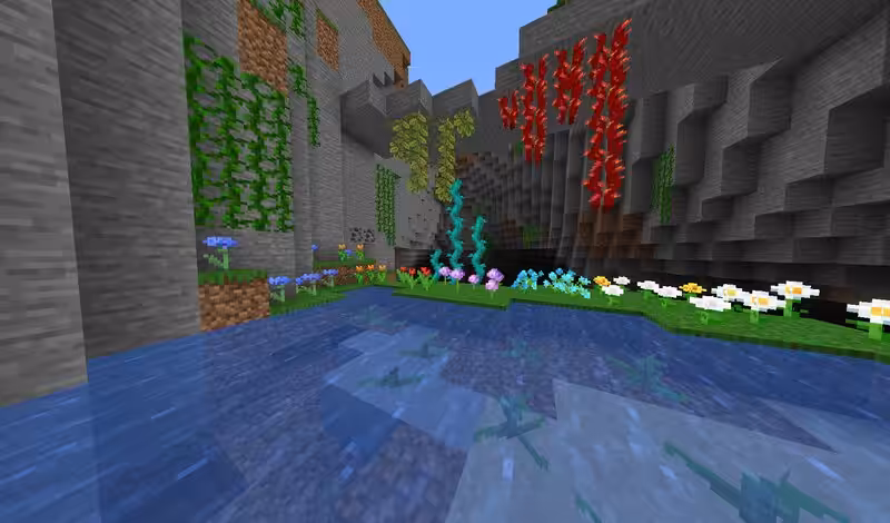 Wild Update 4