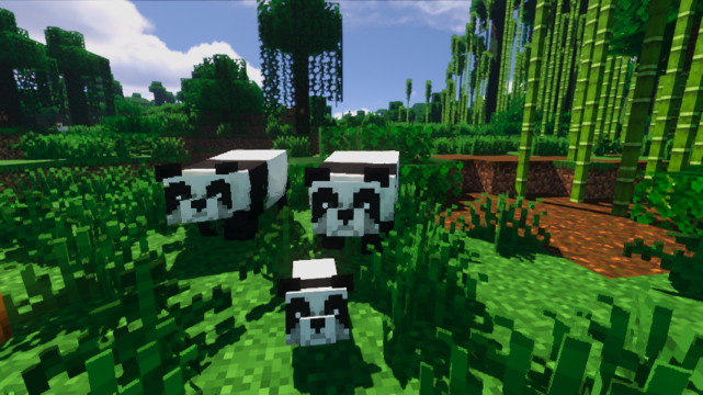 Pandas dans Minecraft : Guide Complet pour les Trouver, les Nourrir et