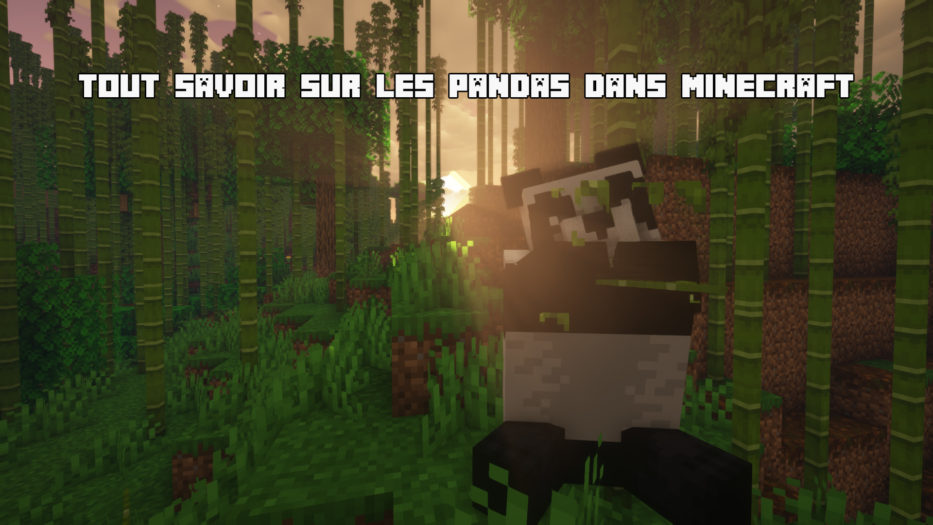 Pandas dans Minecraft : Guide Complet pour les Trouver, les Nourrir et
