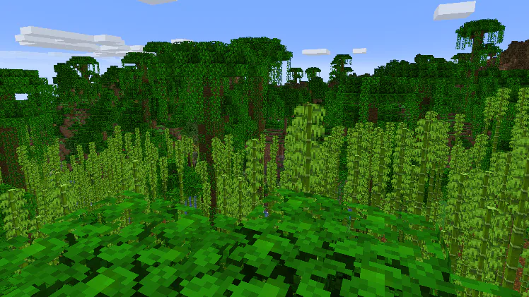 jungle bambou