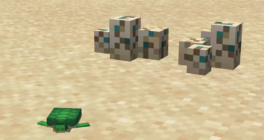 Baby turtle