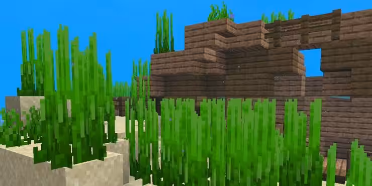 Minecraft Seagrass