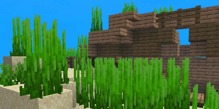 Minecraft Seagrass